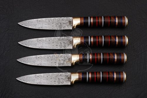Damascus Pairing Knife Set (4 piece)