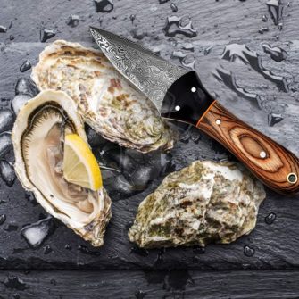 Damascus Steel Oyster Knife