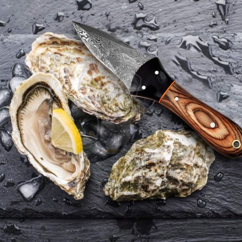 Damascus Steel Oyster Knife