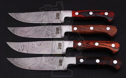 Steak Knife set (04 piece)
