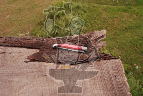 Laguiole Pocket Knife - Image 5