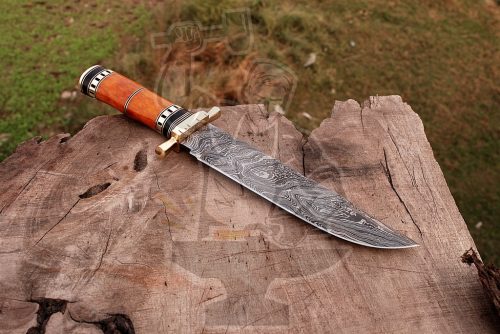 Damascus Bowie KNIFE - Image 2