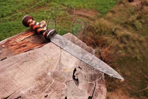 Damascus Gladius dagger - Image 2