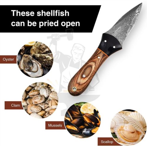 Damascus Steel Oyster Knife - Image 6
