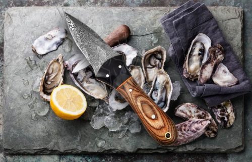 Damascus Steel Oyster Knife - Image 7
